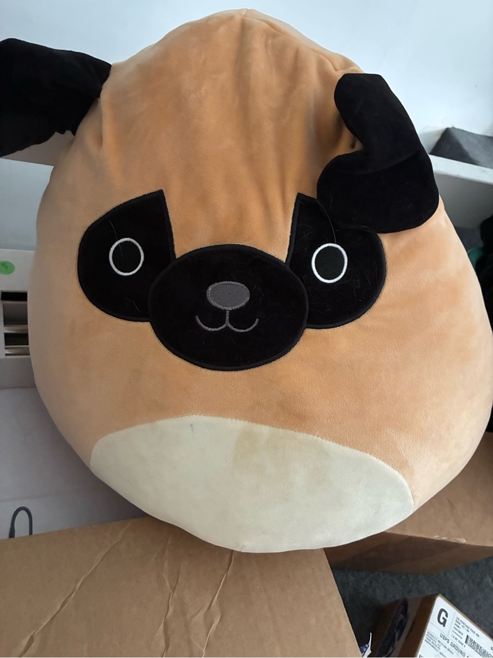 Squishmallows Pug Plush Pillow - Tan and Black